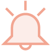 alert icon